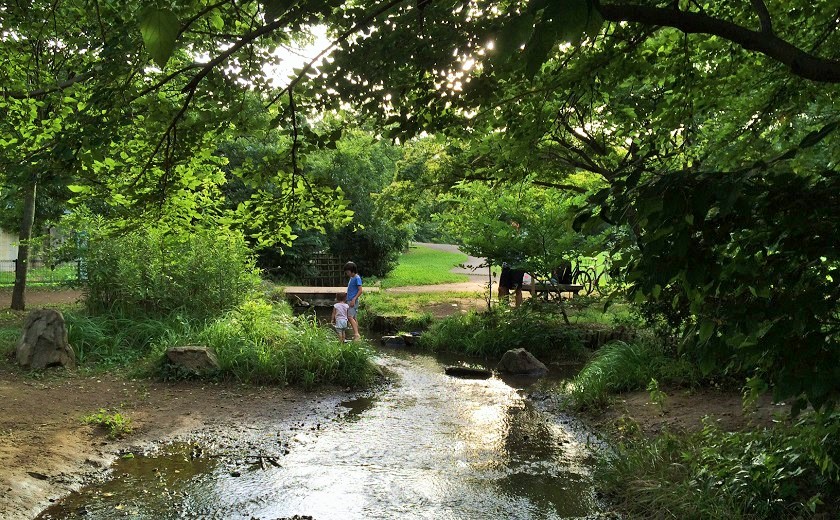 わき水で水遊び！子どもと一緒に夏を満喫～野川公園～