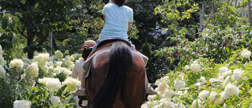 欧風ガーデン「アンジェ」で乗馬体験