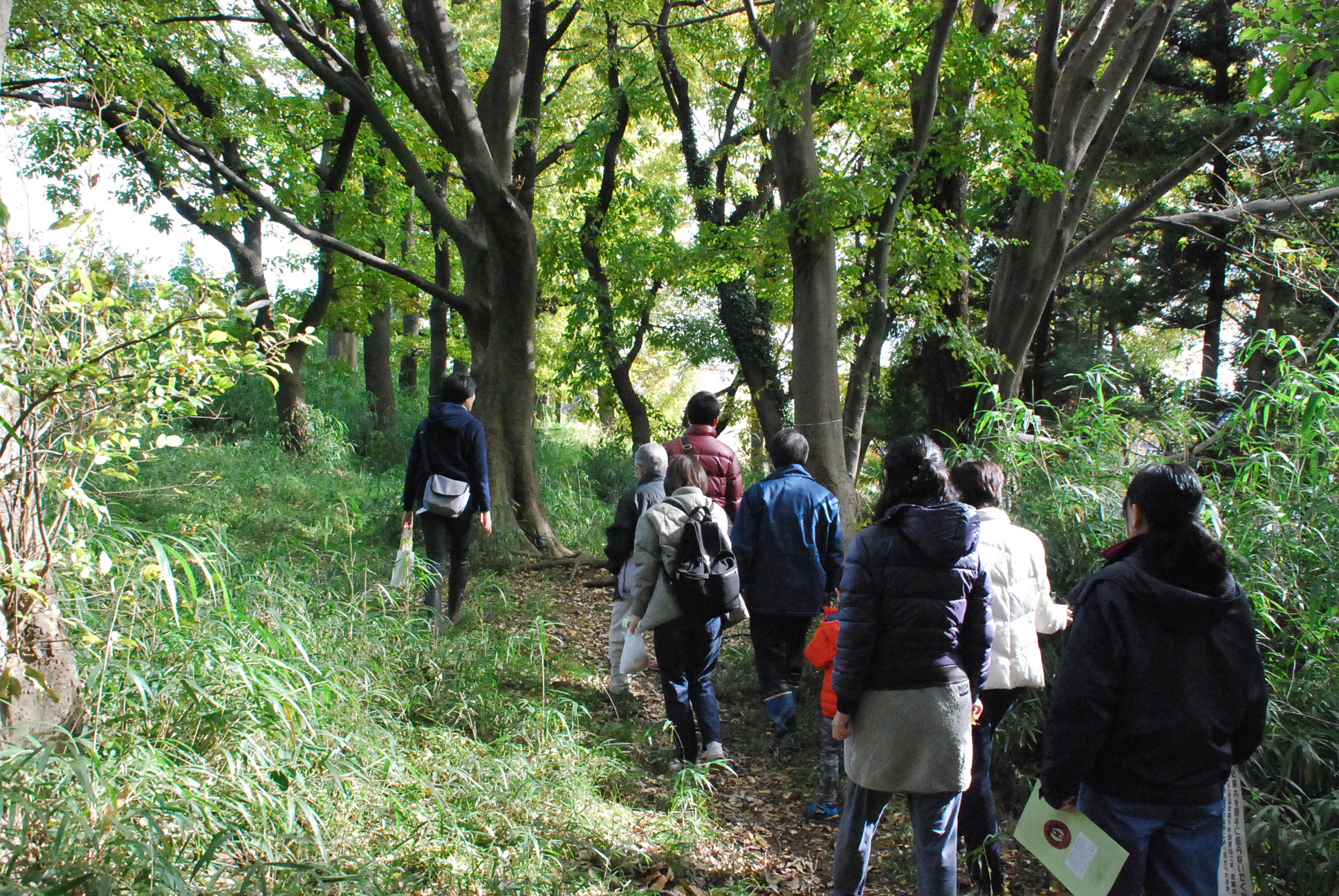 雑木林の自然を堪能！下布田遺跡の自然観察会