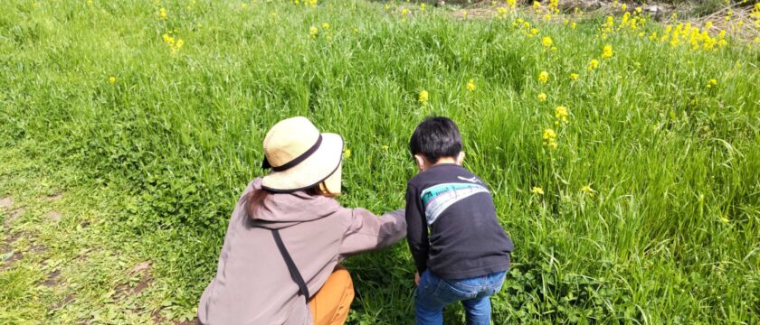 親子一緒に、野川で春探し＠すこっぷ