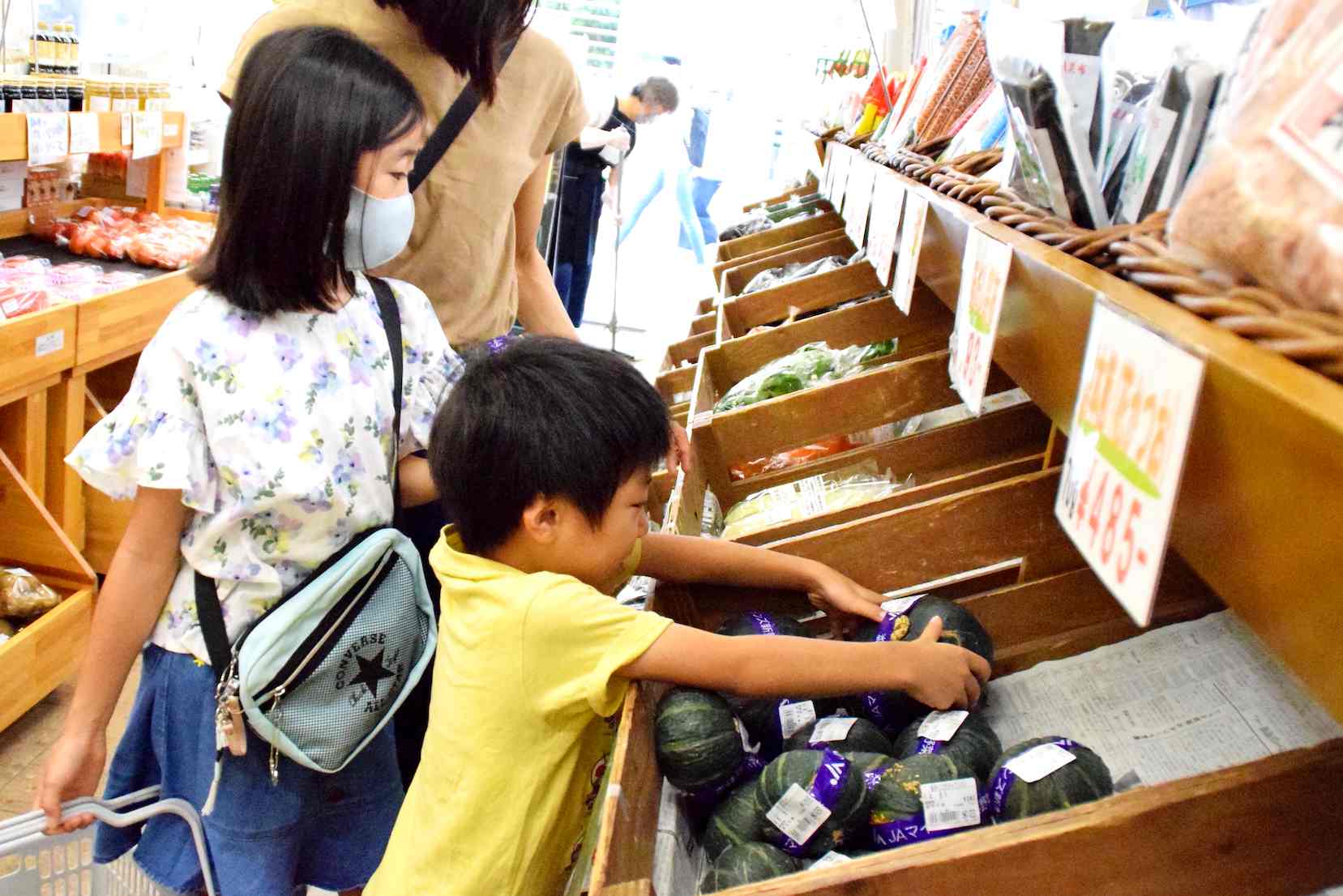 新鮮！おいしい！地元野菜を手に入れるなら…JAマインズ直営の農産物直売所