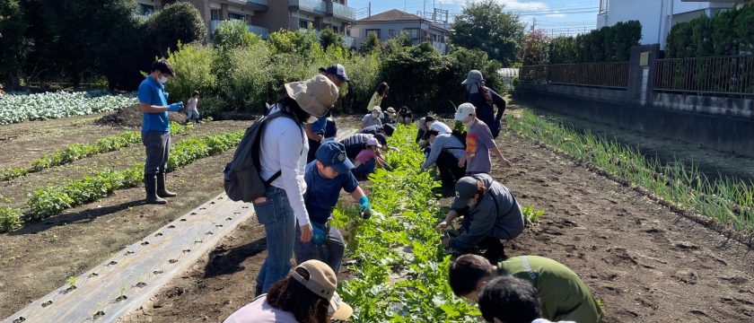 子どもと一緒に野菜づくりを体験！JAマインズの「親子でアグリ」