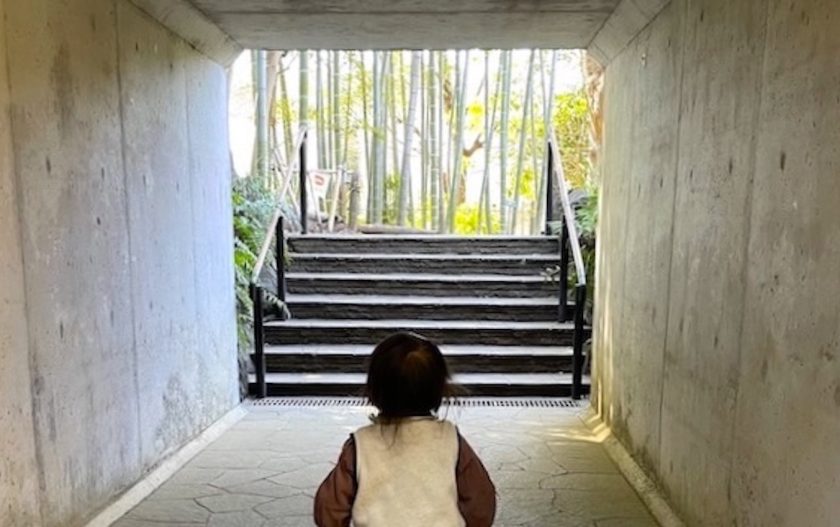自然たっぷり若葉町周辺散歩＆児童館の「子育てひろば」で遊ぶ