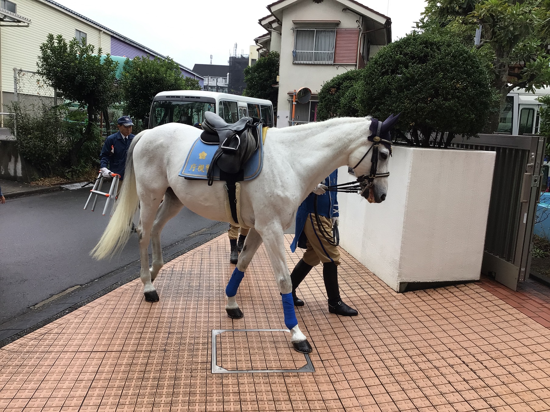 騎馬隊がやってきた！秋の交通安全指導