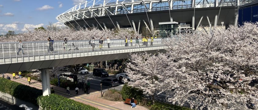 編集部座談会「調布で子育て『ここが良かった！』」