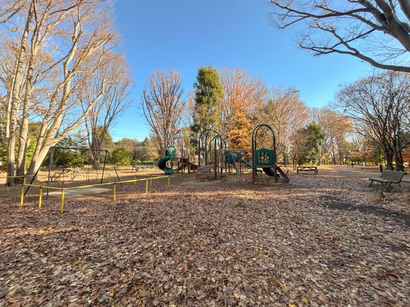 神代植物公園自由広場の遊具エリア