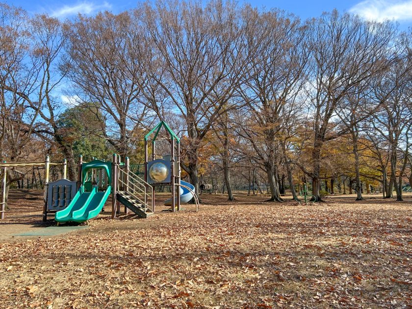 野川公園わんぱく広場の遊具