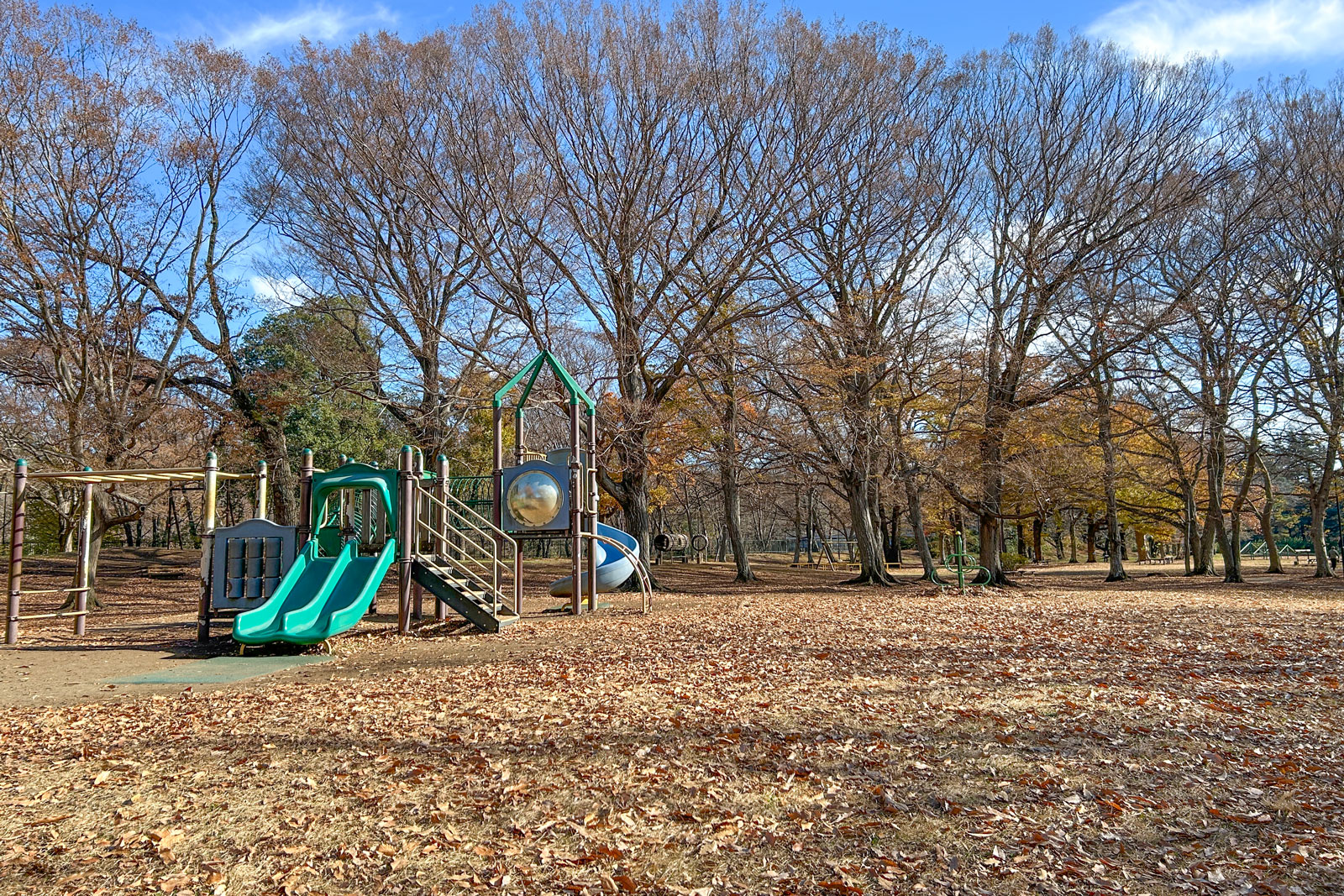 野川公園わんぱく広場の遊具