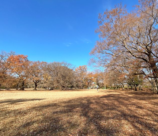 子連れで気軽に行ける♪ 冬休みのおでかけ先