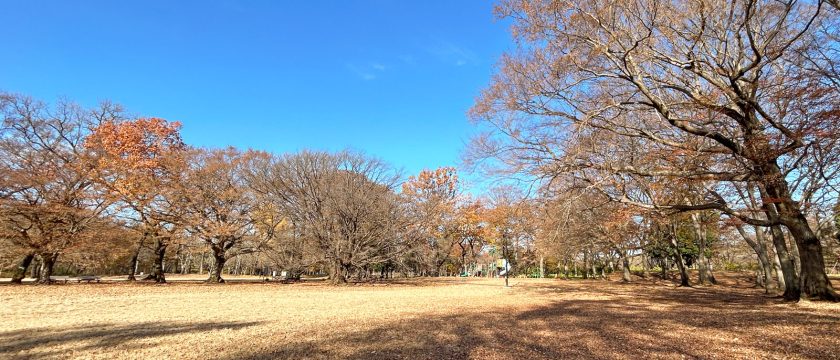 子連れで気軽に行ける♪ 冬休みのおでかけ先
