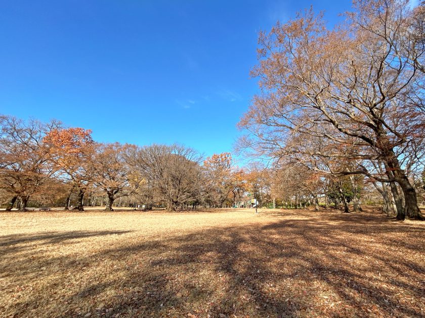 都立野川公園