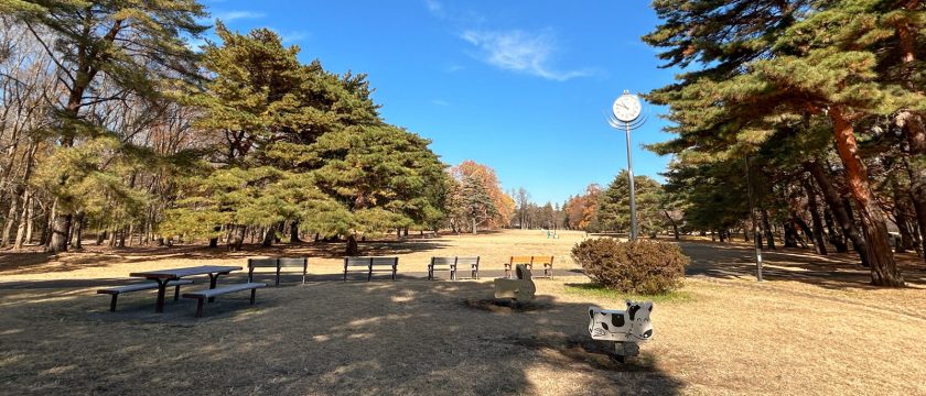 親子でのんびり♪ 調布周辺で過ごす冬休み