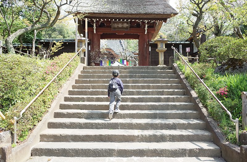 子連れで楽しむ♪　深大寺エリアで旅気分