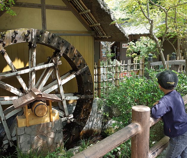 親子で楽しむ♪ 秋のおでかけコース