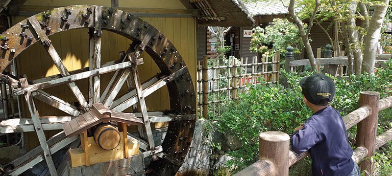 親子で楽しむ♪ 秋のおでかけコース 親子で楽しむ♪ 秋のおでかけコース