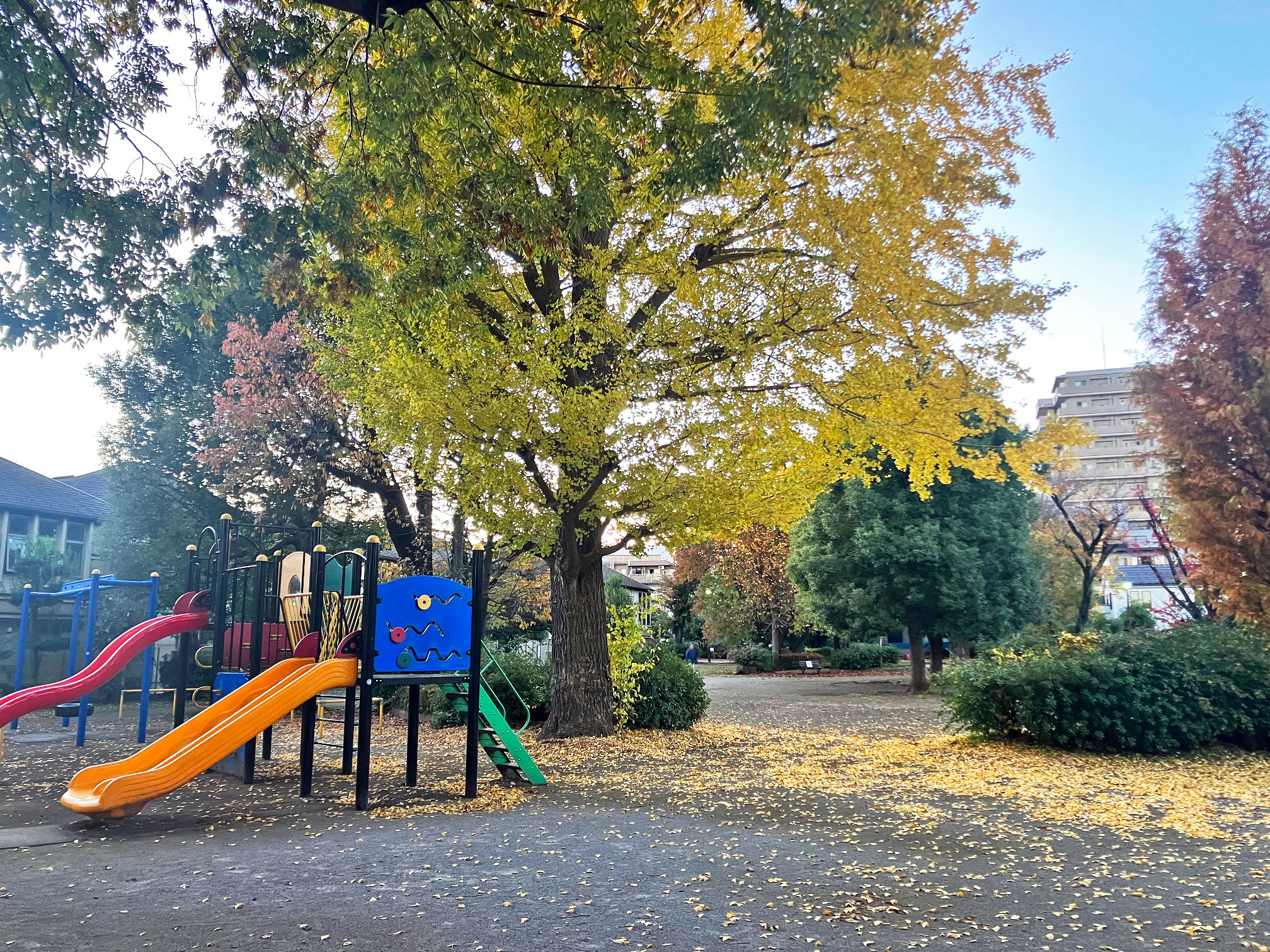 布多公園
