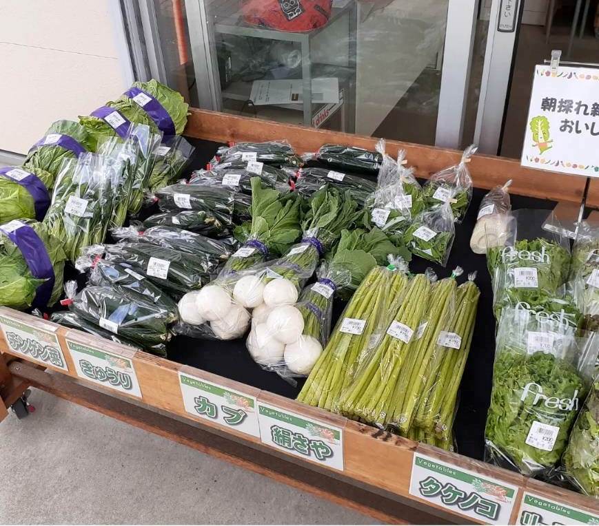「うまいんず」で新鮮地元野菜が手に入る！おいしい野菜の食べ方も聞いてみよう♪