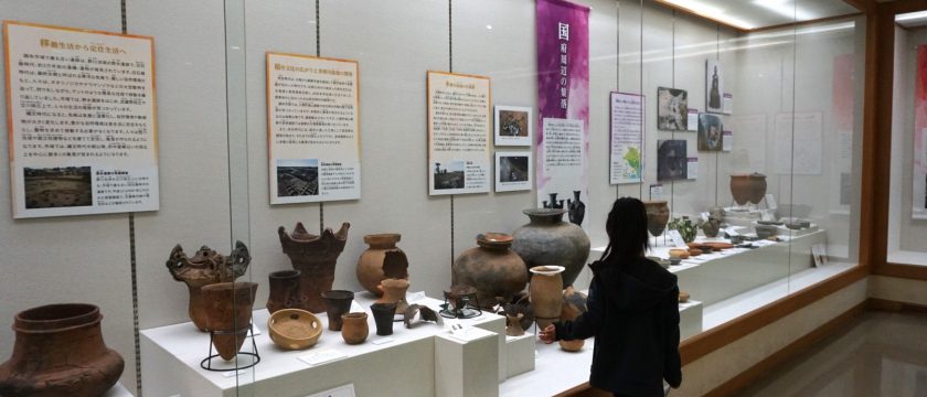 実はこんなに面白い！調布市の〇〇博物館