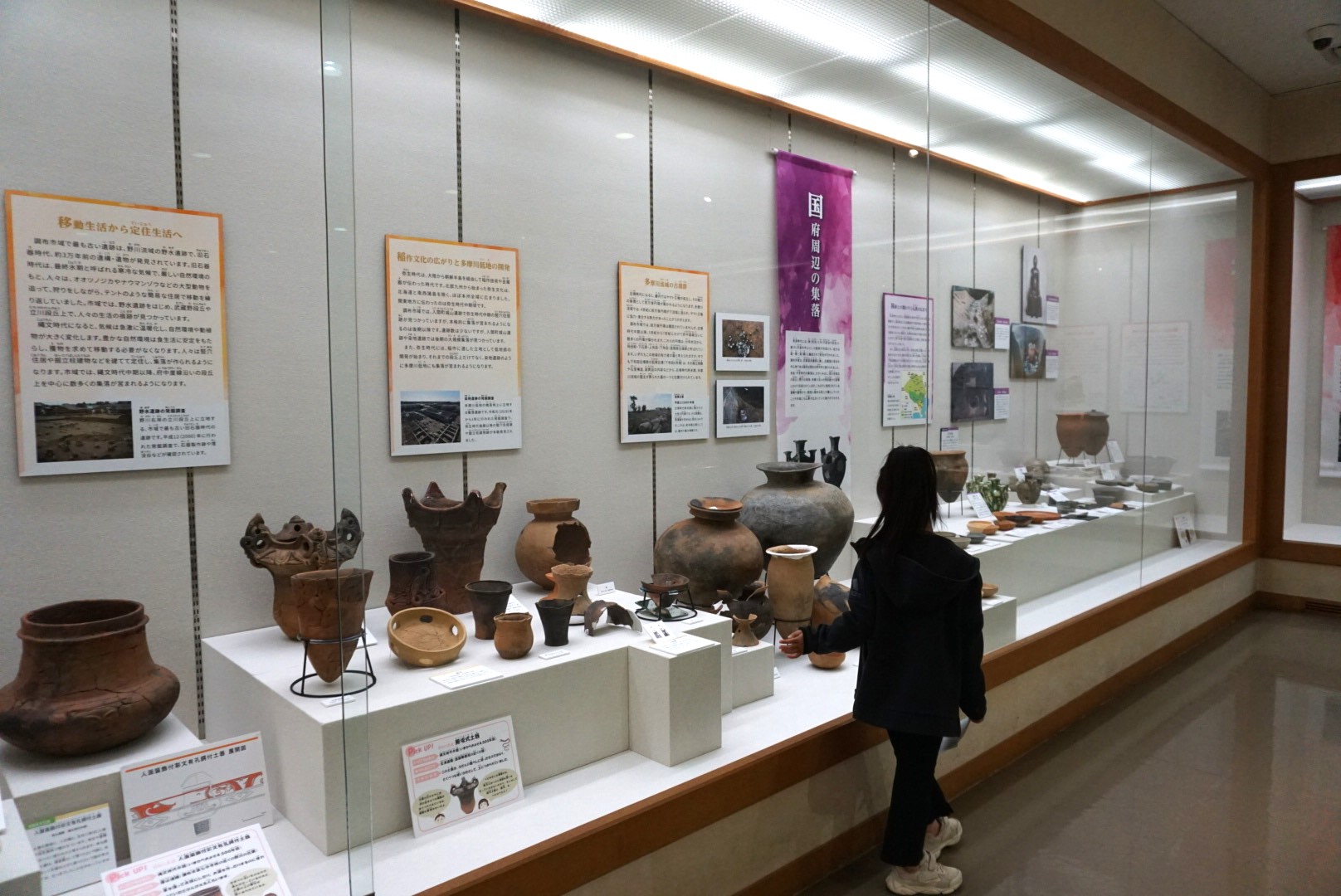 実はこんなに面白い！調布市の〇〇博物館