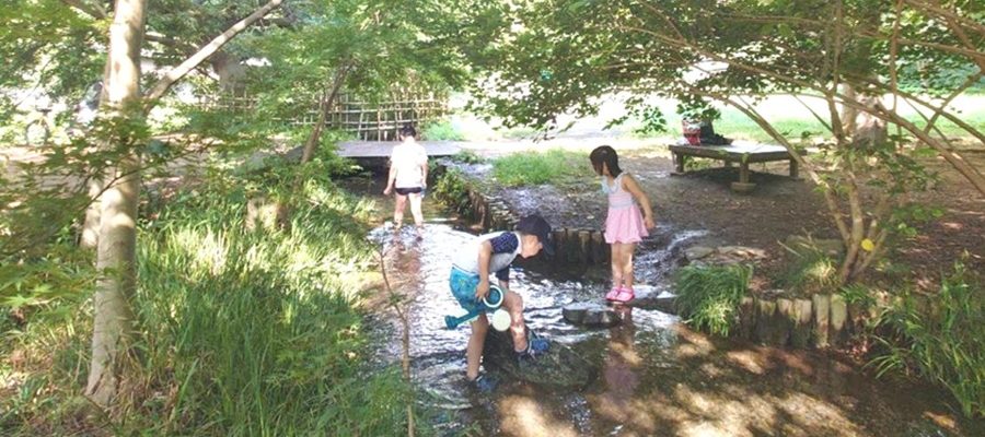 暑い日のおでかけに！野川公園のわき水広場で水遊びの画像