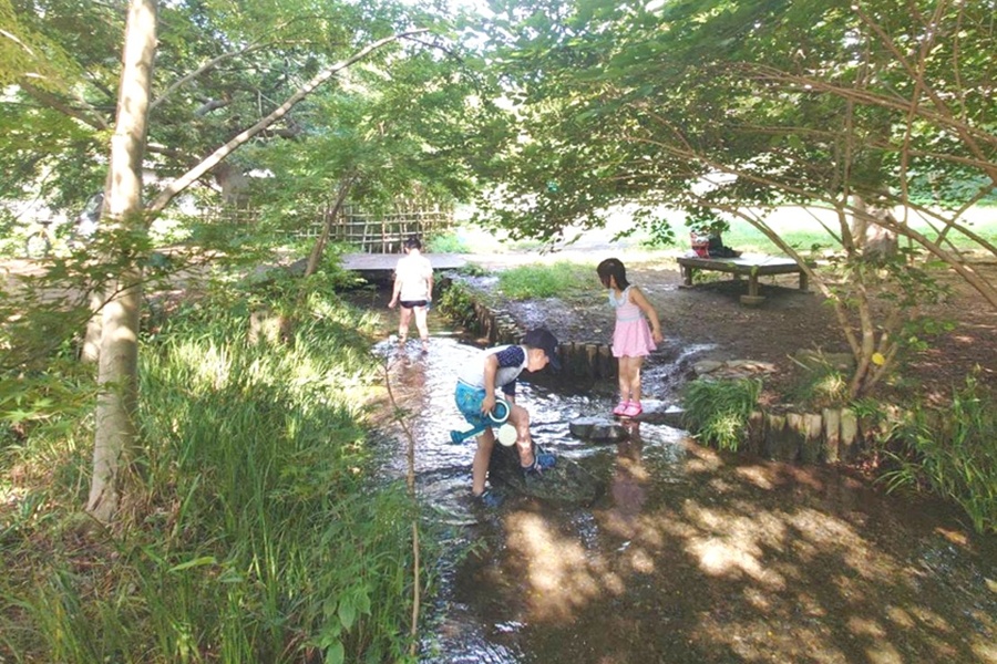 野川公園わき水広場