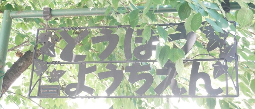 桐朋幼稚園　在園児保護者インタビュー2025