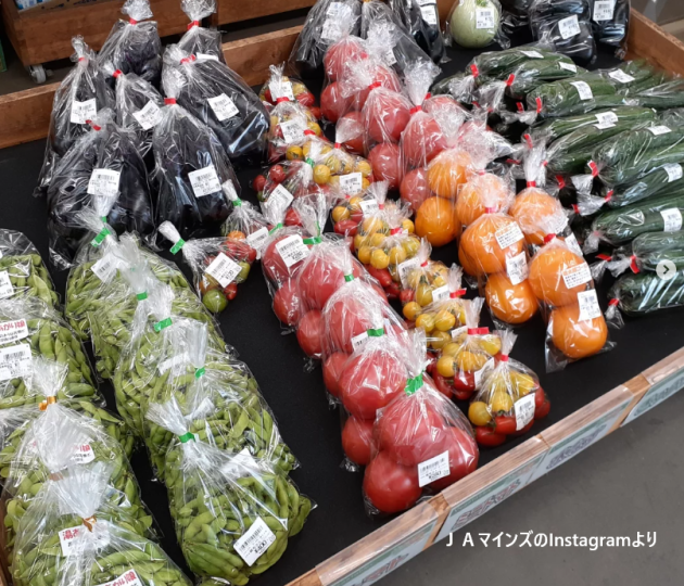 元気が出る採れたて夏野菜やレシピ情報をInstagramでチェック！
