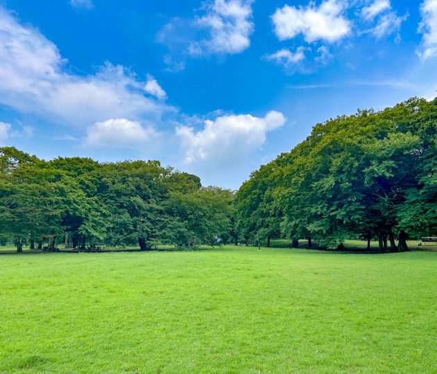 調布周辺で過ごす夏休み～子連れで楽しめる遊び場＆おでかけ先