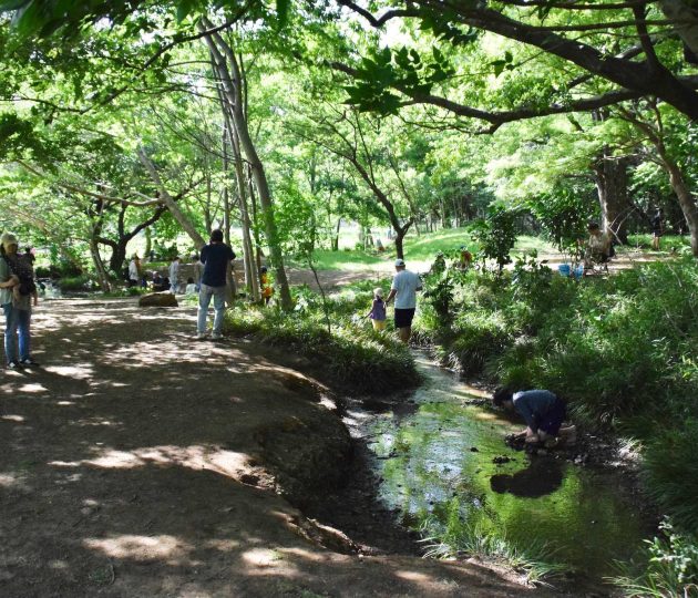 調布周辺で過ごす夏休み～近場のおでかけ先&遊び場