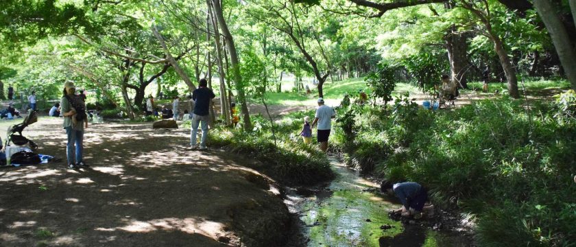 調布周辺で過ごす夏休み～近場のおでかけ先&遊び場