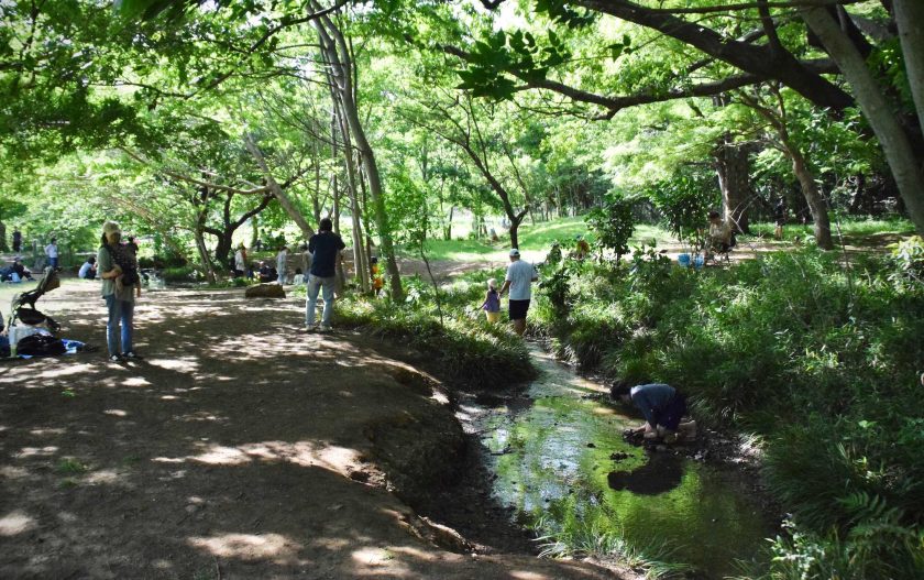 野川公園わき水広場