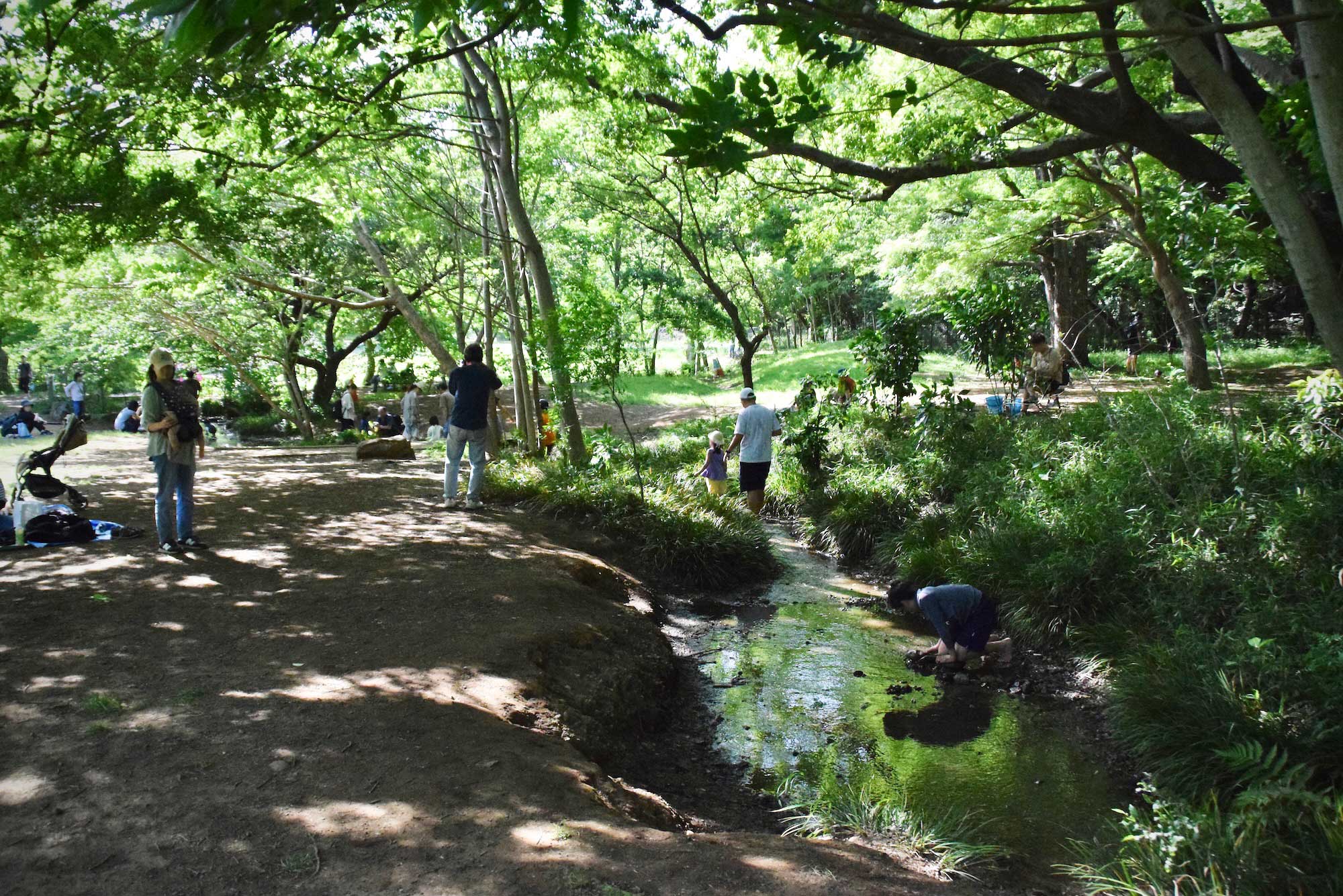野川公園わき水広場