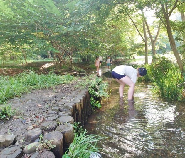 最新記事公開！「暑い日のおでかけに！野川公園のわき水広場で水遊び」
