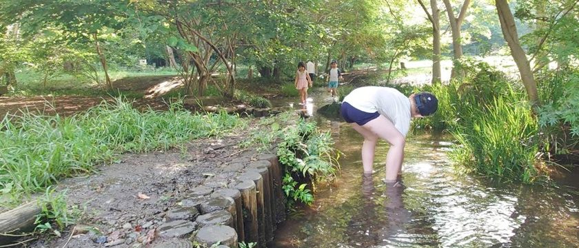 最新記事公開！「暑い日のおでかけに！野川公園のわき水広場で水遊び」