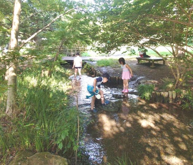 暑い日のおでかけに！野川公園のわき水広場で水遊び