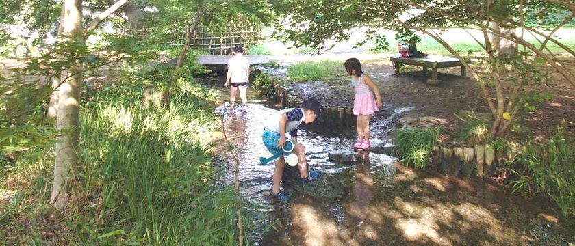 暑い日のおでかけに！野川公園のわき水広場で水遊び