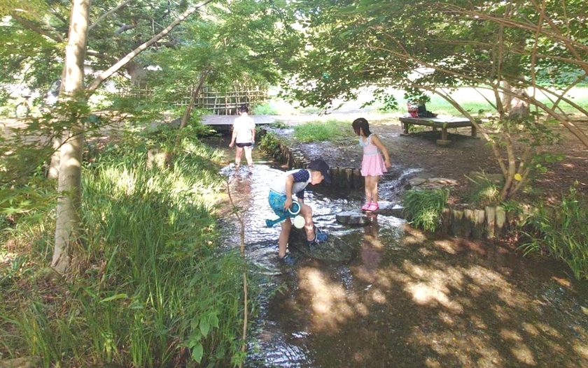 暑い日のおでかけに！野川公園のわき水広場で水遊び