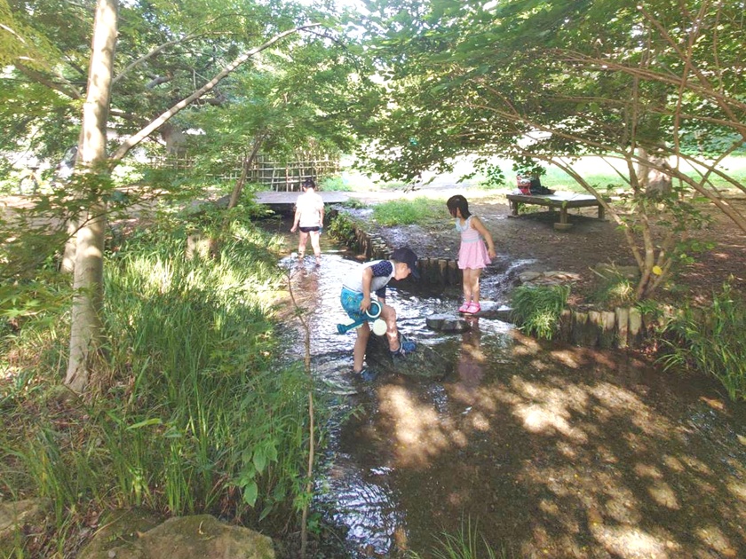 暑い日のおでかけに！野川公園のわき水広場で水遊び