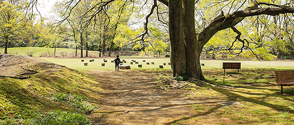 親子で楽しむ♪ 秋のおでかけコースの画像