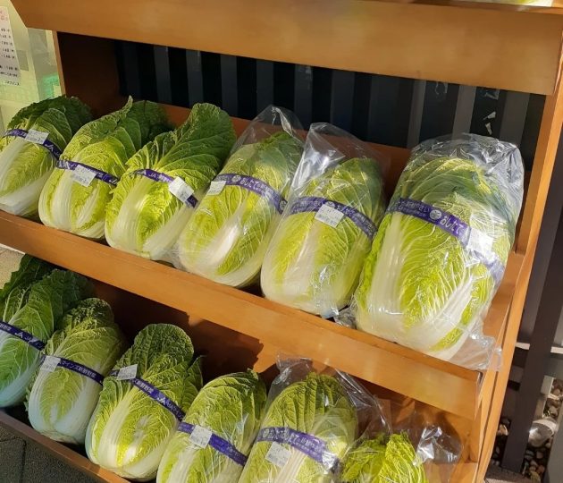 冬においしい野菜やイベントなどの情報満載！