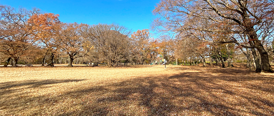 子連れで気軽に行ける♪ 冬休みのおでかけ先の画像