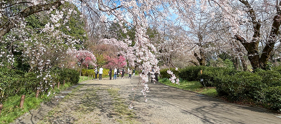 親子で楽しむ春休み♪ 近場のおでかけ先＆遊び場の画像
