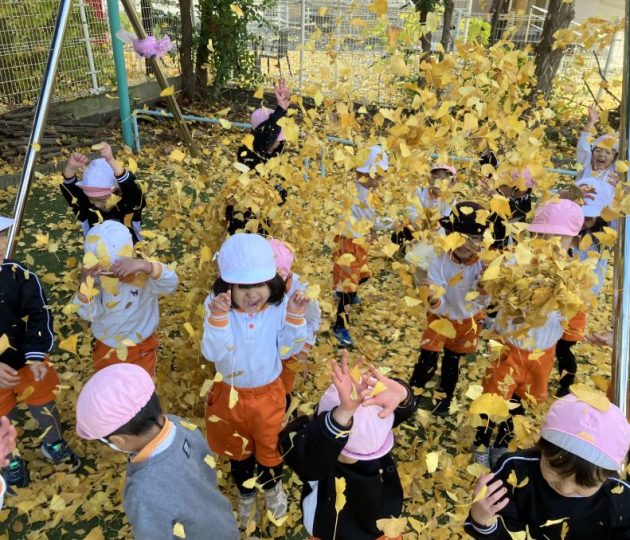 無限に遊びが広がる！落ち葉遊び　つつじがおか幼稚園