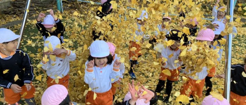無限に遊びが広がる!落ち葉遊び つつじがおか幼稚園 無限に遊びが広がる!落ち葉遊び つつじがおか幼稚園