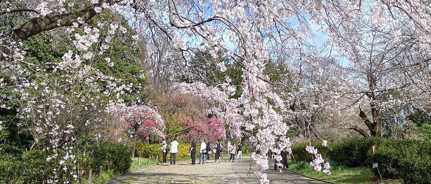 親子で楽しむ春休み♪ 近場のおでかけ先＆遊び場