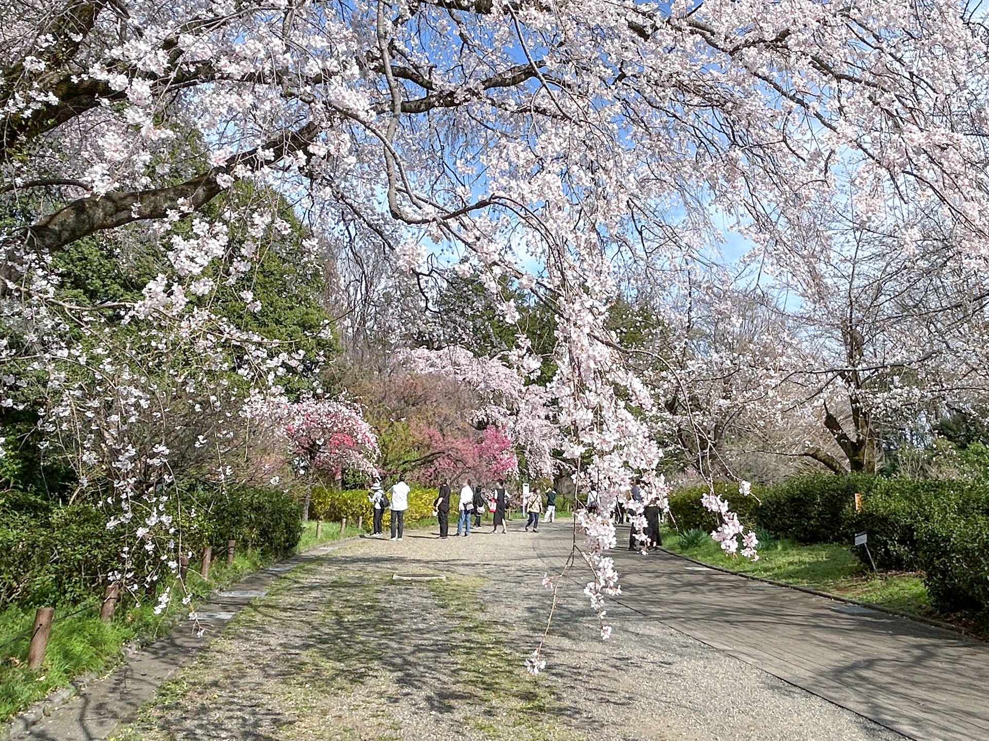 親子で楽しむ春休み♪ 近場のおでかけ先＆遊び場
