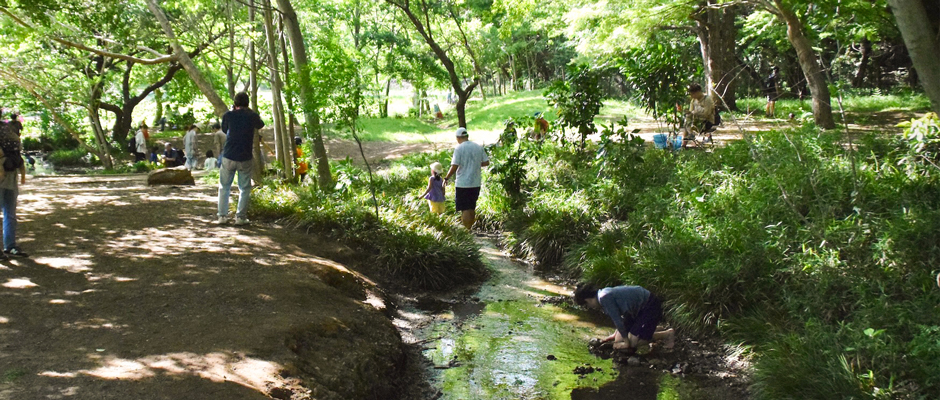 調布周辺で過ごす夏休み～近場のおでかけ先&遊び場の画像
