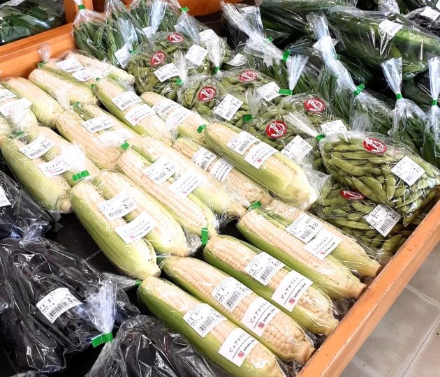 新鮮でおいしい夏野菜を食卓に！旬野菜の出荷状況やお得なイベント情報をInstagramでチェック♪