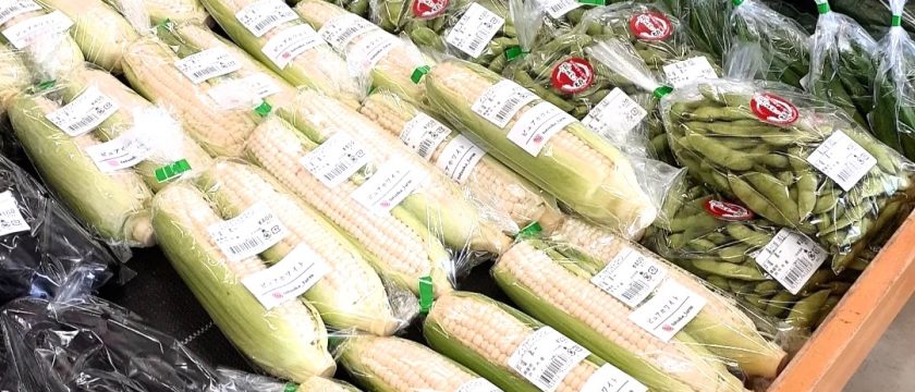 新鮮でおいしい夏野菜を食卓に！旬野菜の出荷状況やお得なイベント情報をInstagramでチェック♪
