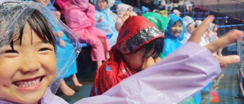 全園児で水族館へ遠足！イルカを見ながらお弁当も♪
